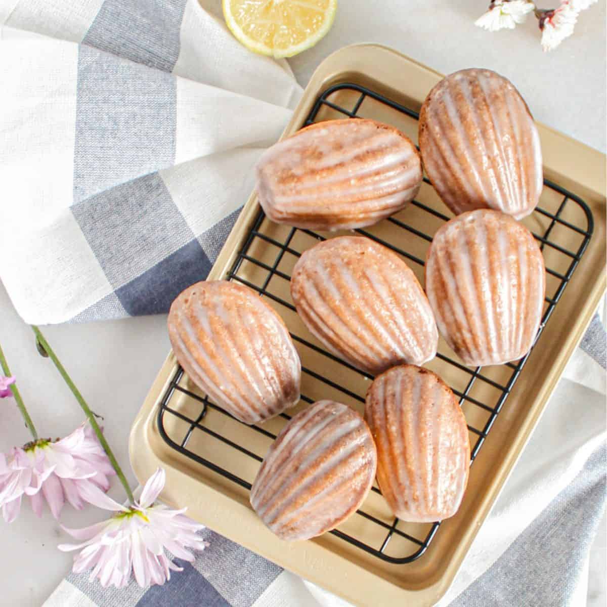 Lemon madeleines resting on a baking tray